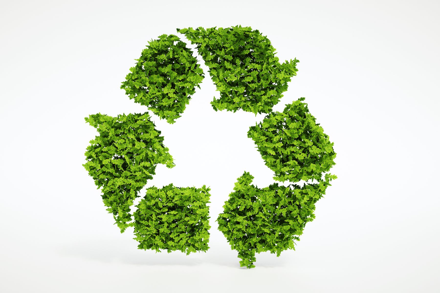 Wurzer Umwelt GmbH (Die Bildrechte liegen bei dem Verfasser der Mitteilung.)