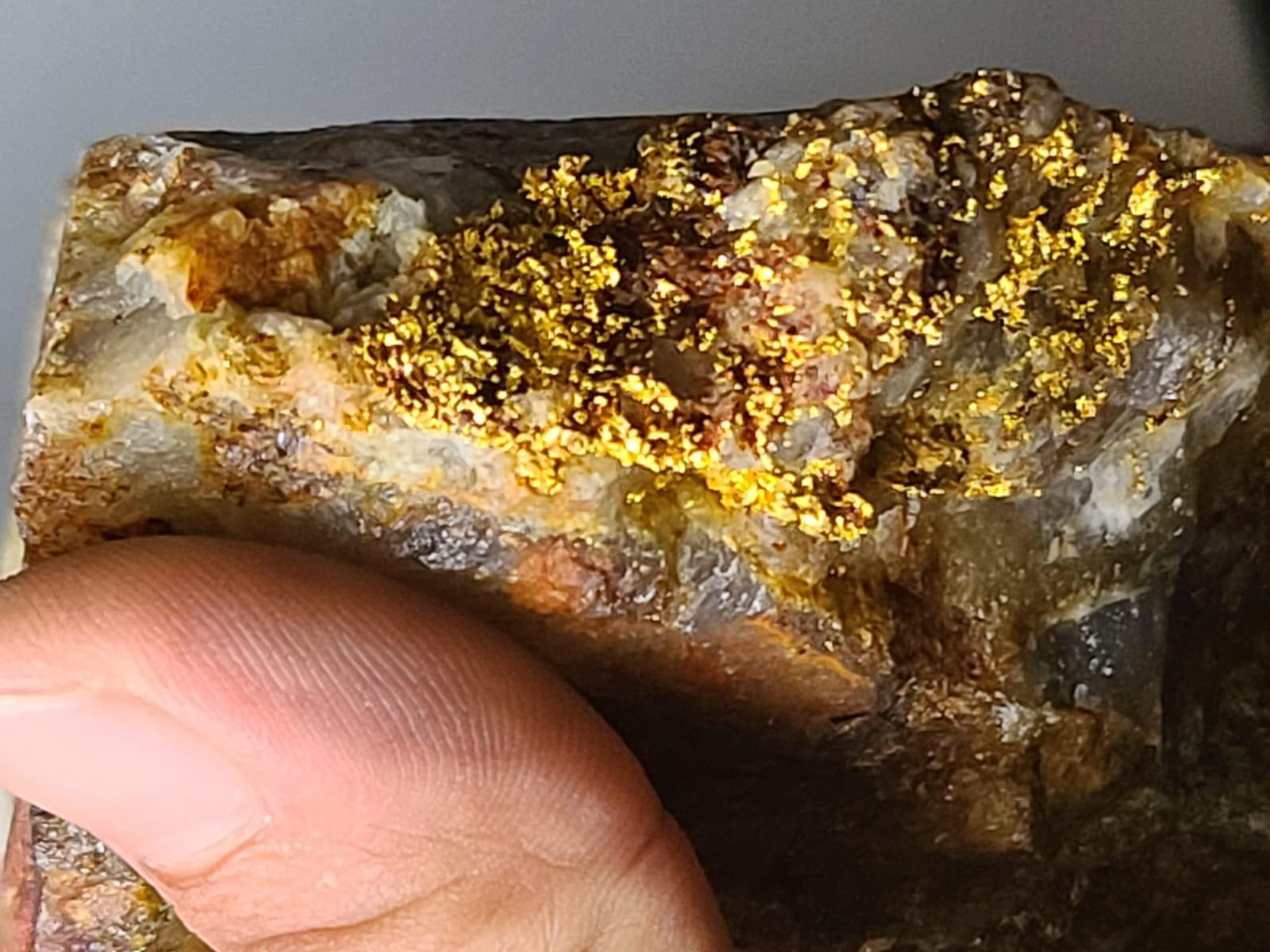 Goldmineralisierung von einem Sranan-Projekt; Foto: Sranan Gold Goldmineralisierung von einem Sranan-Projekt; Foto: Sranan Gold
