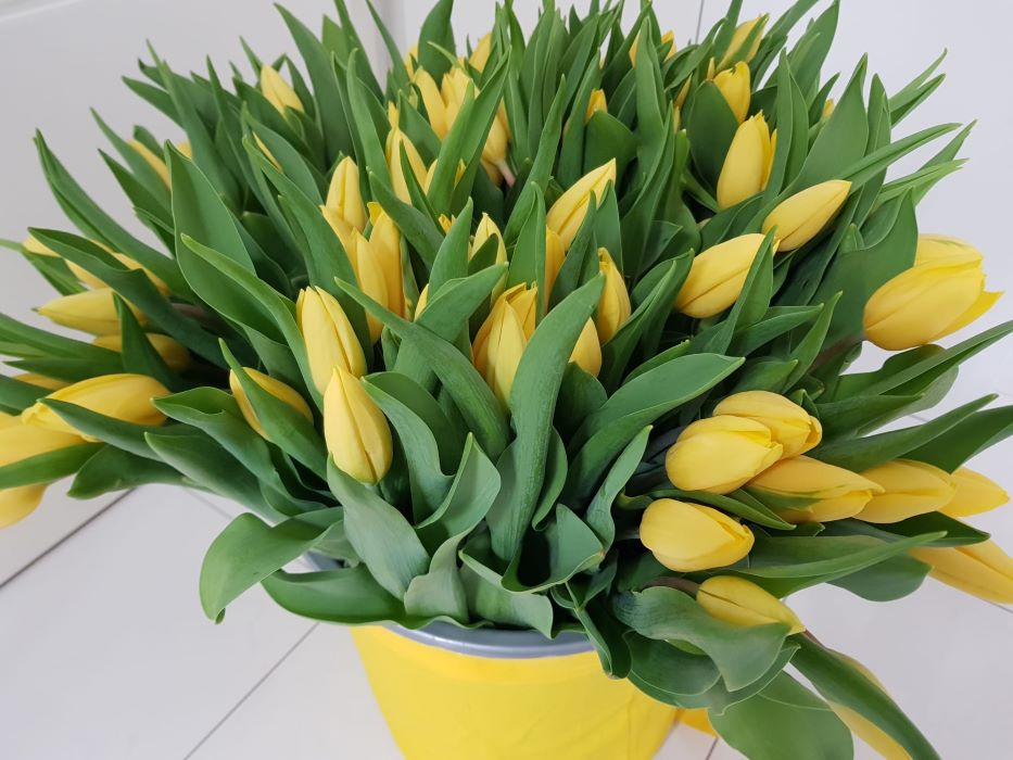 Auch in diesem Jahr verschenkt die FDP in Haar zum bevorstehenden Muttertag Blumen. (© FDP Haar) Auch in diesem Jahr verschenkt die FDP in Haar zum bevorstehenden Muttertag Blumen. (© FDP Haar)