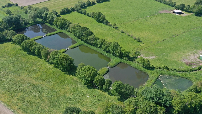 Die Teichkläranlage Linden besteht aus fünf hintereinander liegenden Teichen (Bildquelle: WV Norderdithmarschen) Die Teichkläranlage Linden besteht aus fünf hintereinander liegenden Teichen (Bildquelle: WV Norderdithmarschen)
