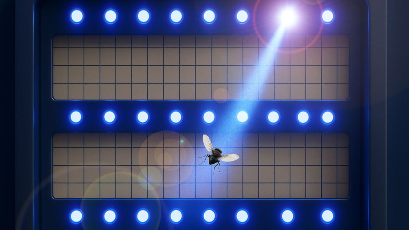 UV-LED-Insektenfalle (Die Bildrechte liegen bei dem Verfasser der Mitteilung.) UV-LED-Insektenfalle (Die Bildrechte liegen bei dem Verfasser der Mitteilung.)