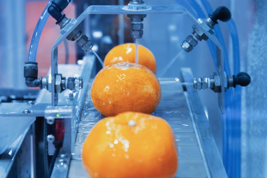 Industrieanlage zur Verarbeitung von Orangen (Bildquelle: Gumpanat Thavankitdumrong)