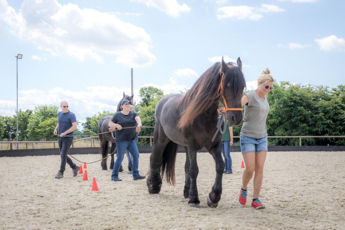 Teamentwicklung mit Pferd bei EQzellent® (© EQzellent) Teamentwicklung mit Pferd bei EQzellent® (© EQzellent)