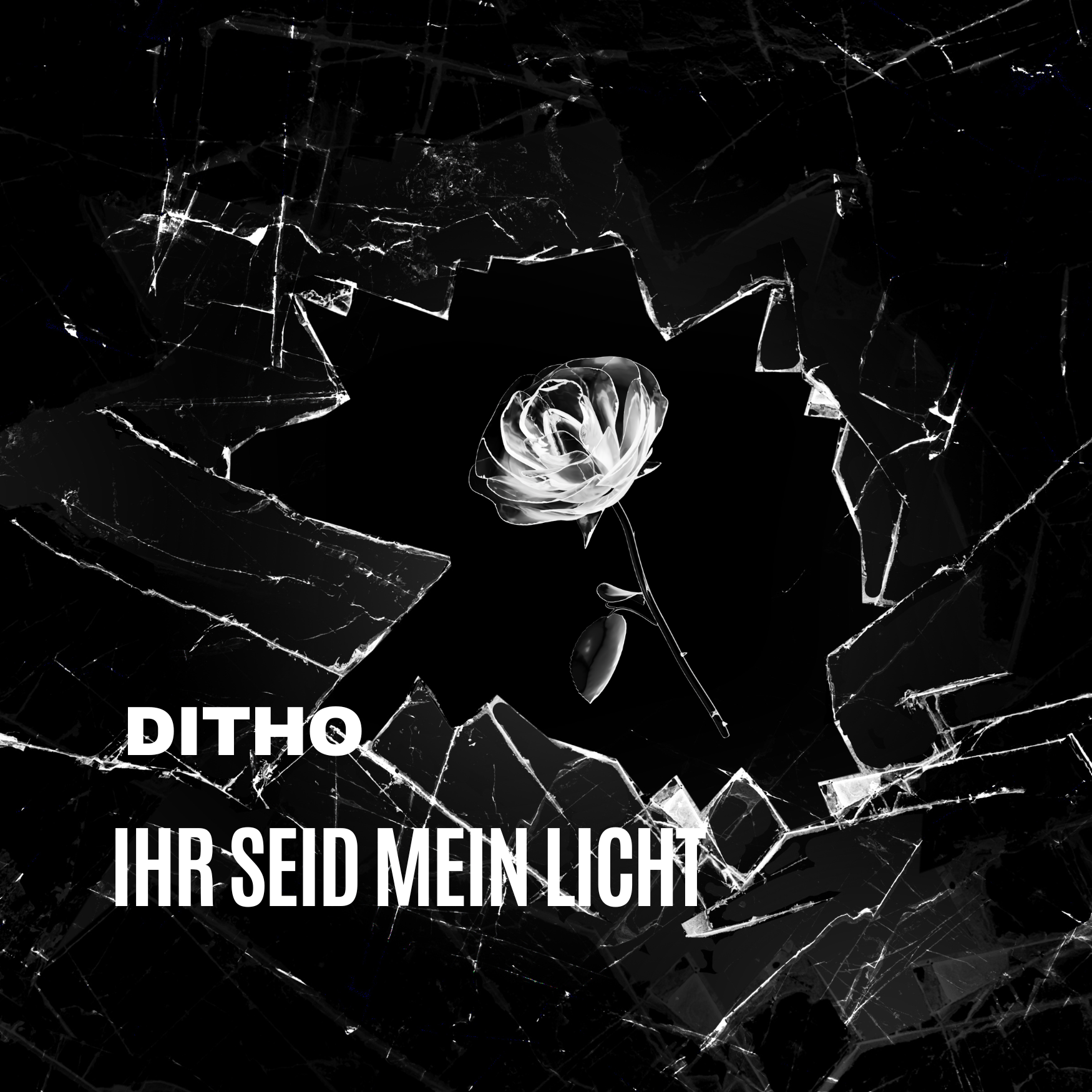 Cover Cover
