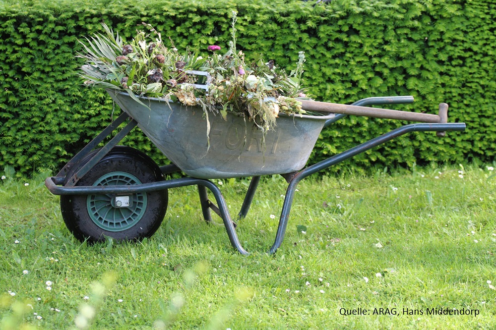 ARAG Experten mit interessanten Gerichtsurteilen aus der grünen Gartenwelt (Die Bildrechte liegen bei dem Verfasser der Mitteilung.)