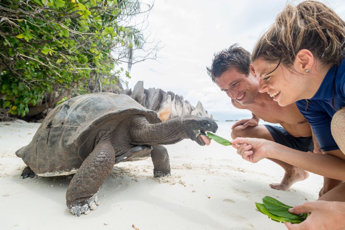 Silhouette Cruises startet im Mai 2026 zu einer Expeditions-Kreuzfahrt auf das Aldabra-Atoll (© Foto Silhouette Cruises) Silhouette Cruises startet im Mai 2026 zu einer Expeditions-Kreuzfahrt auf das Aldabra-Atoll (© Foto Silhouette Cruises)
