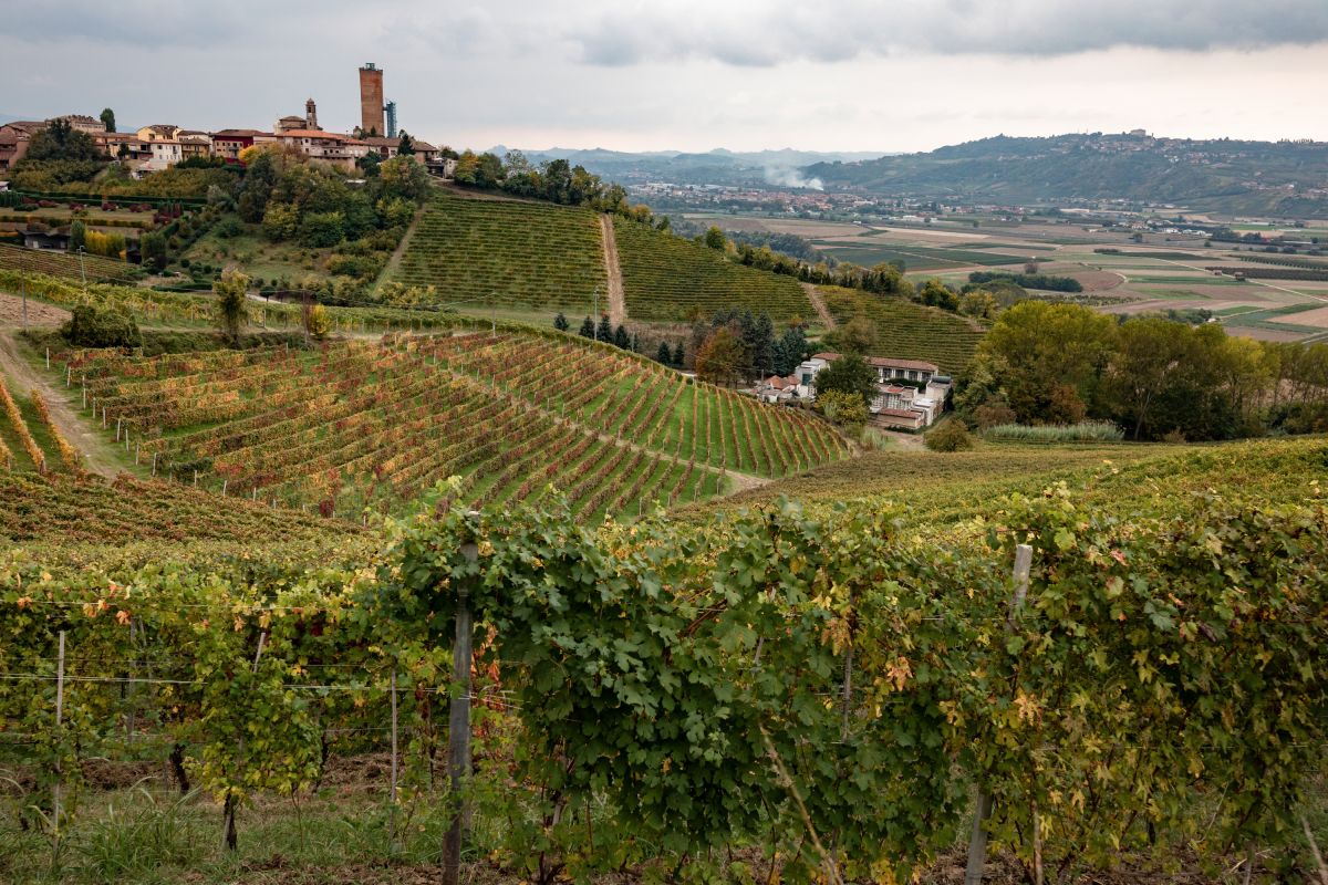 Barbaresco (© Alessandro Sgarito_Archivio Ente Turismo LMR) Barbaresco (© Alessandro Sgarito_Archivio Ente Turismo LMR)