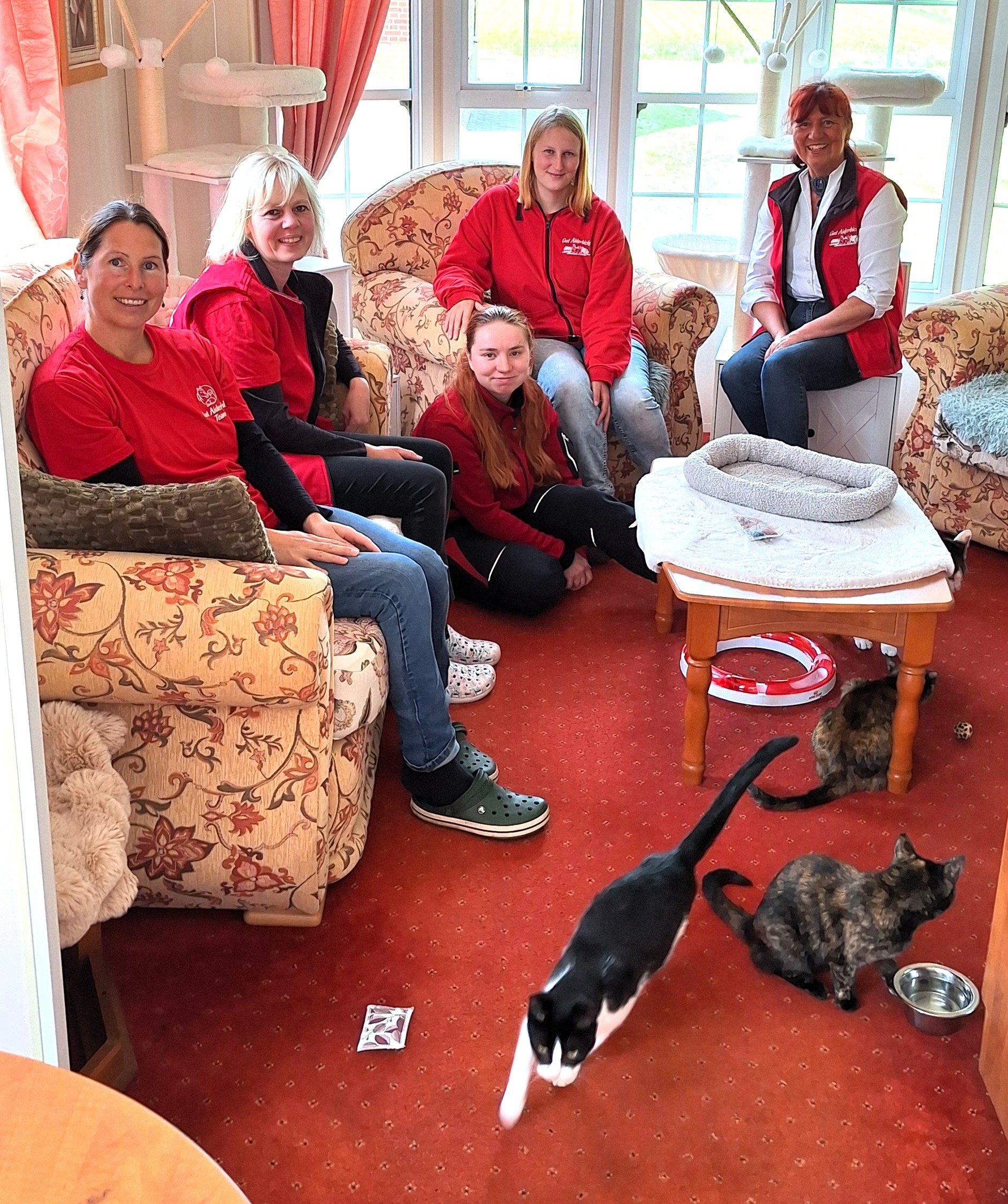 Die"Katzenmamas" vom Gut Aiderbichl Katzenland in Niedersachsen (Die Bildrechte liegen bei dem Verfasser der Mitteilung.)