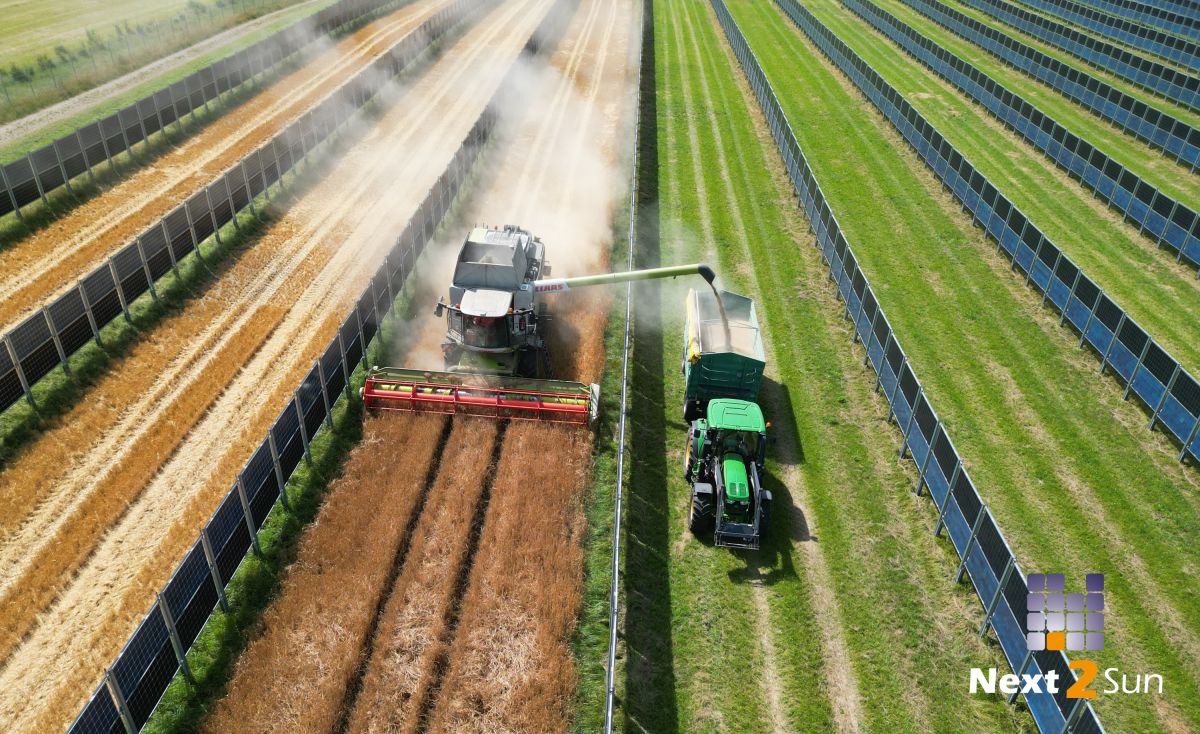 Gerstendrusch im Next2Sun-Agri-Solarpark (© Next2Sun) Gerstendrusch im Next2Sun-Agri-Solarpark (© Next2Sun)