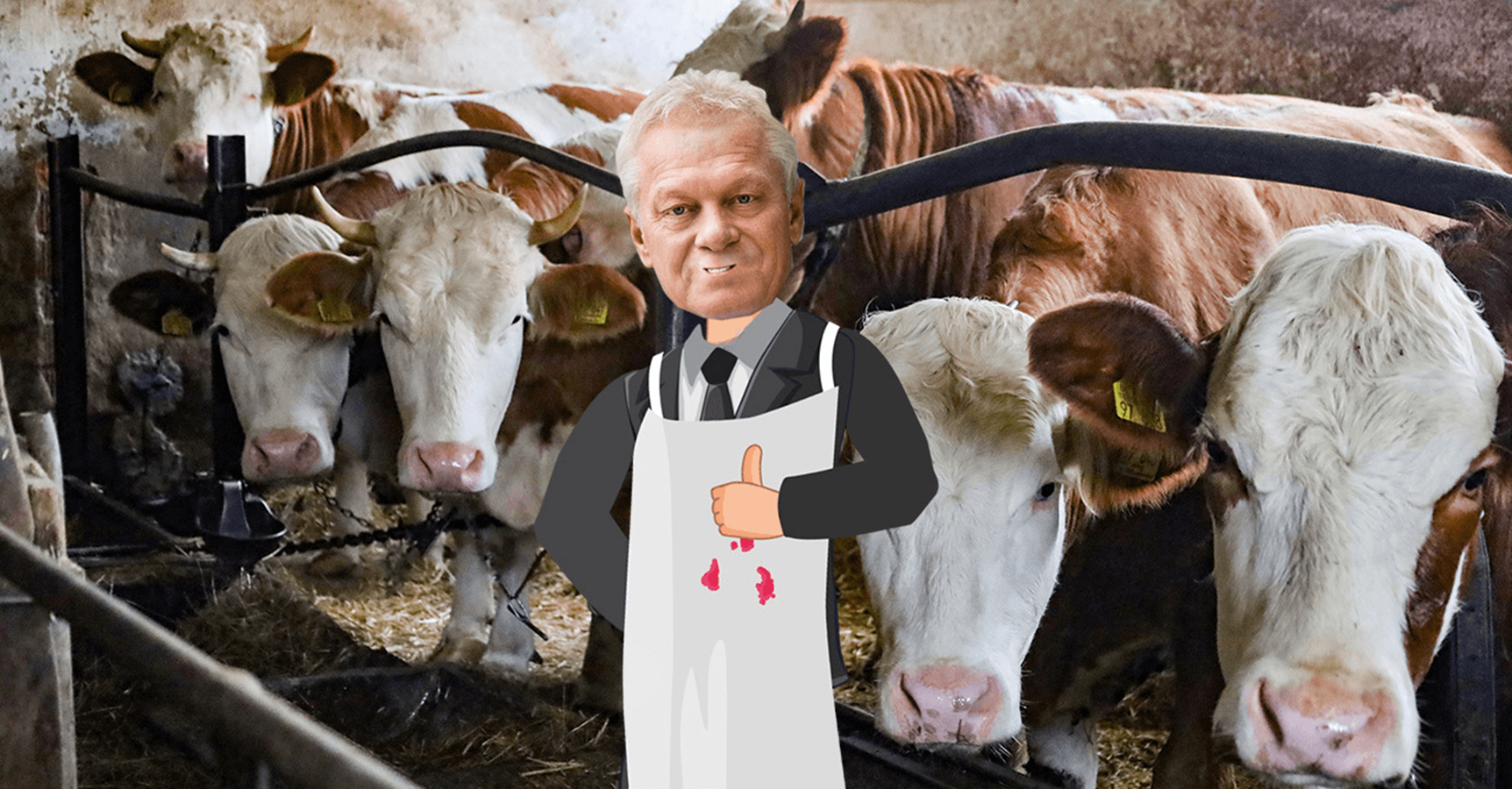 Bundeslandwirtschaftsminister 