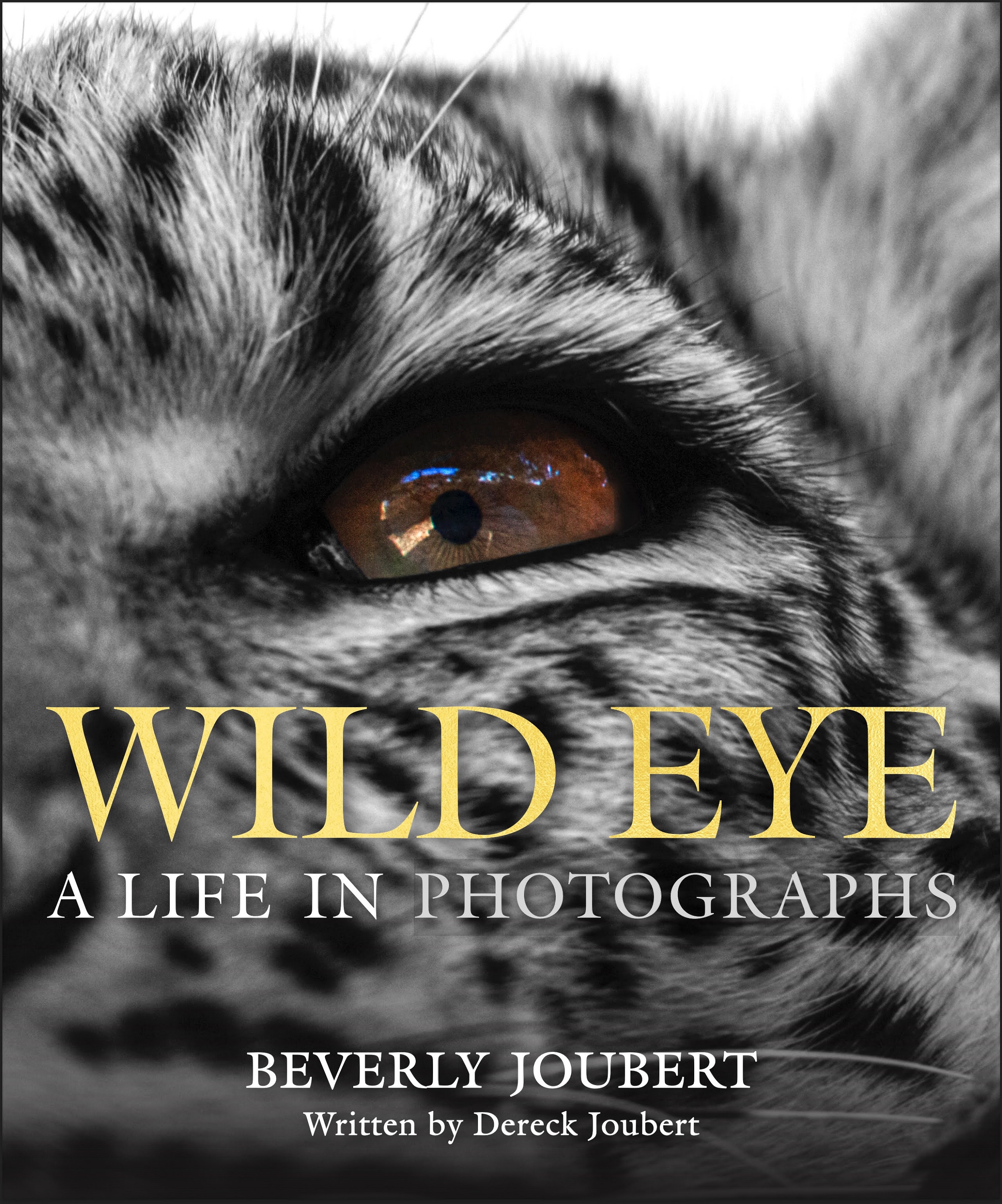 Neuer Bildband: Wild Eye