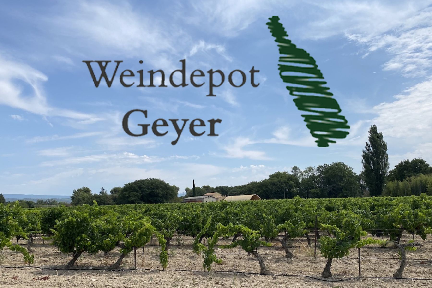 Weindepot Geyer Weindepot Geyer