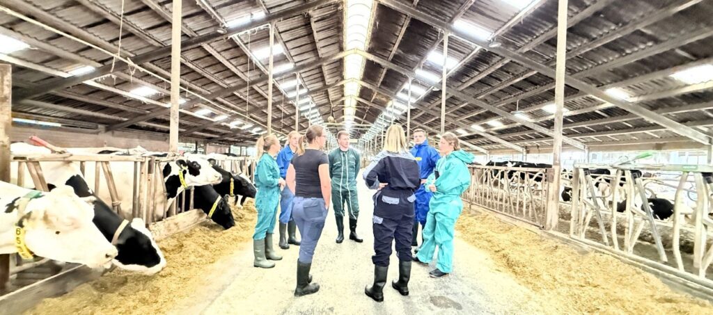 Besprechung einer der AVA-Workshop-Arbeitsgruppen in einem der Ställe der Dringenburg-Milchvieh-GbR in Bottrop durch die Teilnehmenden Tierärzte und Landwirte (Die Bildrechte liegen bei dem Verfasser der Mitteilung.)