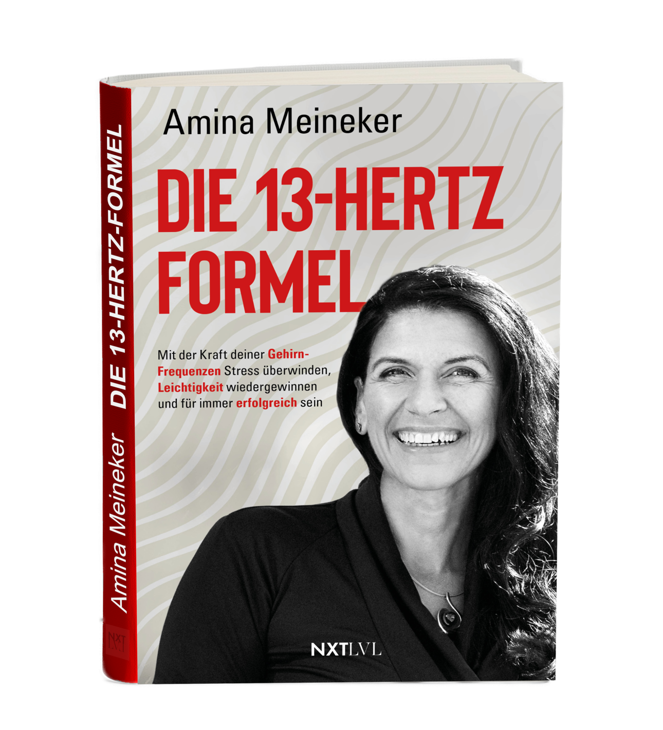 Buchcover - 13Hertz Formel Buchcover - 13Hertz Formel