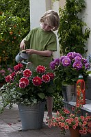 (c) Frux - Qualitäts-Dünger mit Guano (c) Frux - Qualitäts-Dünger mit Guano