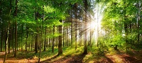 Natural Leading - Seminar