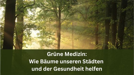Grüne Medizin: Wie Bäume unseren Städten und der Gesundheit helfen / Redaktion bioresonanz-zukunft (Die Bildrechte liegen bei dem Verfasser der Mitteilung.) Grüne Medizin: Wie Bäume unseren Städten und der Gesundheit helfen / Redaktion bioresonanz-zukunft (Die Bildrechte liegen bei dem Verfasser der Mitteilung.)