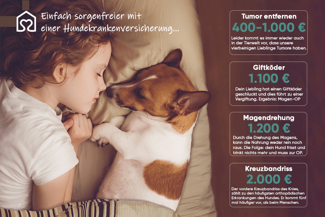 Tierheimat - die beste Wahl für Tierfreunde (Die Bildrechte liegen bei dem Verfasser der Mitteilung.) Tierheimat - die beste Wahl für Tierfreunde (Die Bildrechte liegen bei dem Verfasser der Mitteilung.)