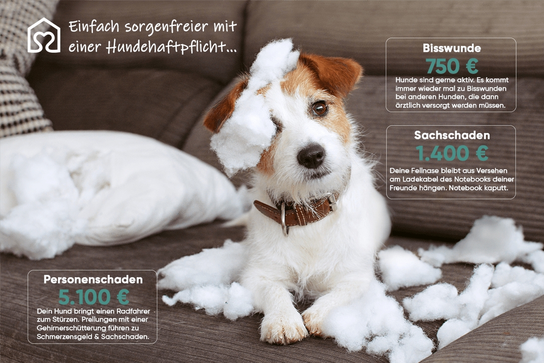 Tierheimat schützt Haustiere und Geldbeutel (Die Bildrechte liegen bei dem Verfasser der Mitteilung.)