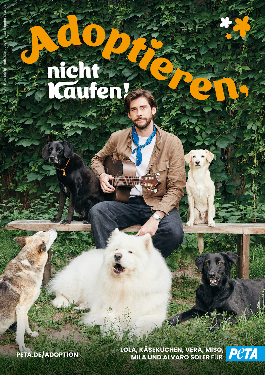 Álvaro Soler bittet alle Menschen einen Hund aus dem Tierheim zu adoptieren. (Bildquelle: Nela König für PETA ) Álvaro Soler bittet alle Menschen einen Hund aus dem Tierheim zu adoptieren. (Bildquelle: Nela König für PETA )