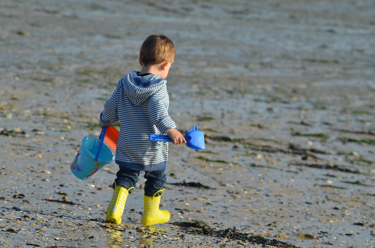 (Bildquelle: Pixabay)