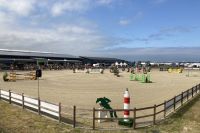 Das tegra-Reitbodensystem EBBE & FLUT setzt beim Fehmarnschen Ringreiterverein (FRRV) neue Maßstäbe. Das tegra-Reitbodensystem EBBE & FLUT setzt beim Fehmarnschen Ringreiterverein (FRRV) neue Maßstäbe.