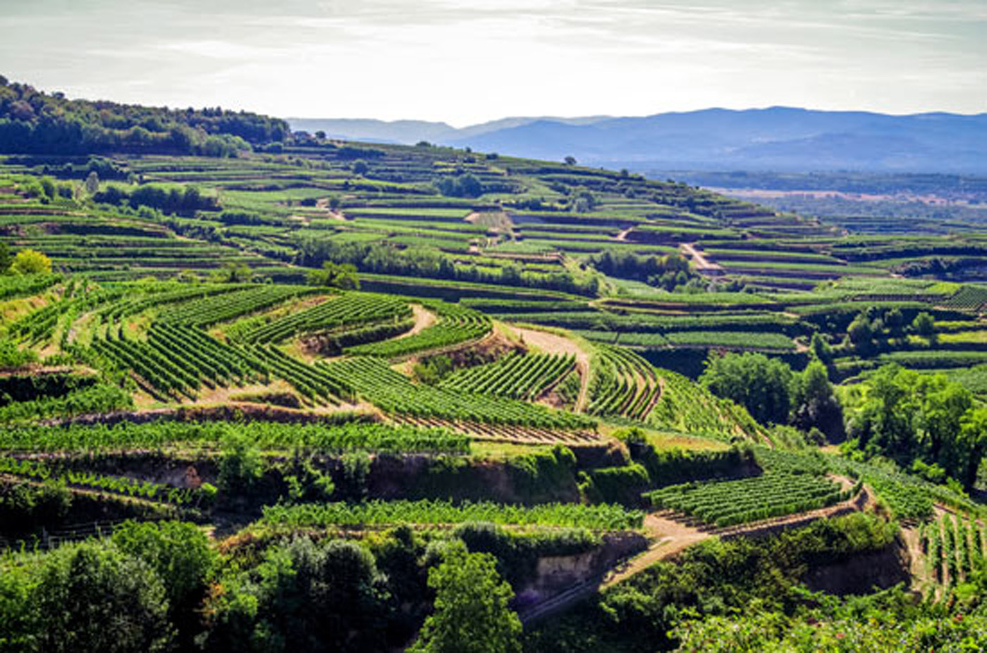 Kaiserstuhl - Breisgau - Urlaub in Deutschland Kaiserstuhl - Breisgau - Urlaub in Deutschland
