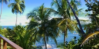 AUF IN DIE WELT: Traumziel Lateinamerika – Costa Rica (Stiftung Völkerverständigung) AUF IN DIE WELT: Traumziel Lateinamerika – Costa Rica (Stiftung Völkerverständigung)