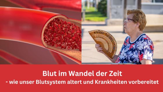 Blut im Wandel der Zeit / Redaktion bioresonanz-zukunft.de (Die Bildrechte liegen bei dem Verfasser der Mitteilung.) Blut im Wandel der Zeit / Redaktion bioresonanz-zukunft.de (Die Bildrechte liegen bei dem Verfasser der Mitteilung.)