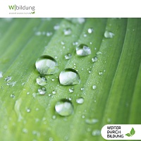 Lotusblüteneffekt - Seminar der Wbildung Akademie GmbH Lotusblüteneffekt - Seminar der Wbildung Akademie GmbH