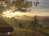 Herbstkulisse beim Weingarten (Ratscher Landhaus)