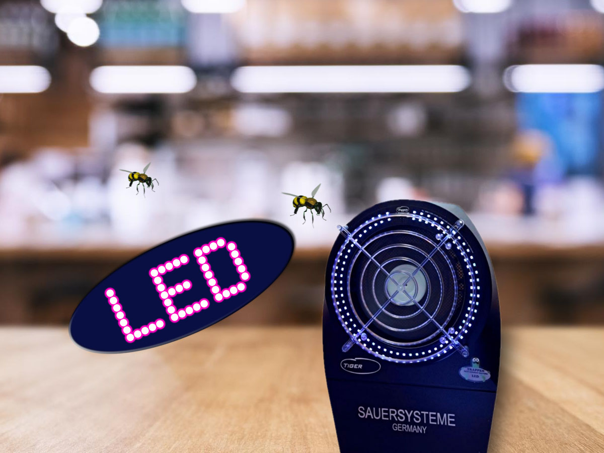 UV LED Wespenfalle in der Bäckerei (Die Bildrechte liegen bei dem Verfasser der Mitteilung.)