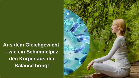 Aus dem Gleichgewicht - wie ein Schimmelpilz den Körper aus der Balance bringt (Die Bildrechte liegen bei dem Verfasser der Mitteilung.) Aus dem Gleichgewicht - wie ein Schimmelpilz den Körper aus der Balance bringt (Die Bildrechte liegen bei dem Verfasser der Mitteilung.)