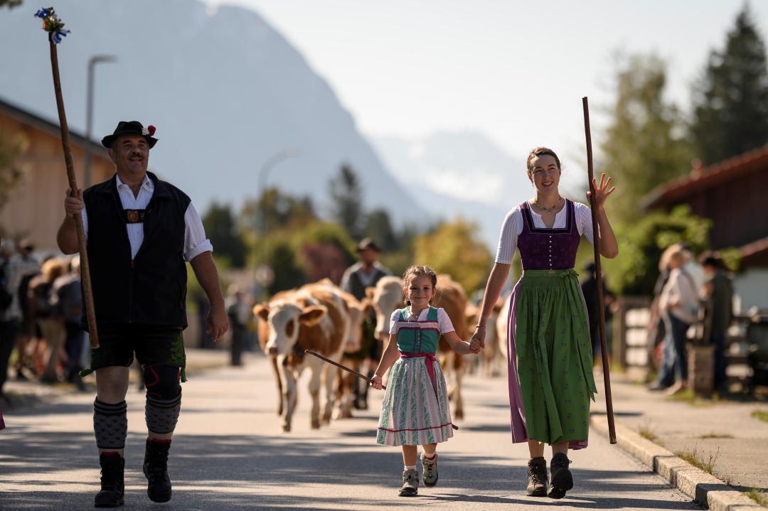 Festlicher Almabtrieb in Krün (Alpenwelt Karwendel) (Bildquelle: Philipp Gülland / Alpenwelt Karwendel)