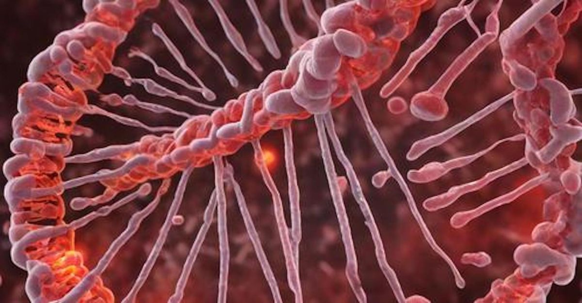 Metastasen-gesundheitsratgeber-krebs Immumedic (© IMMUMEDIC Limited/ Andreas Rach)