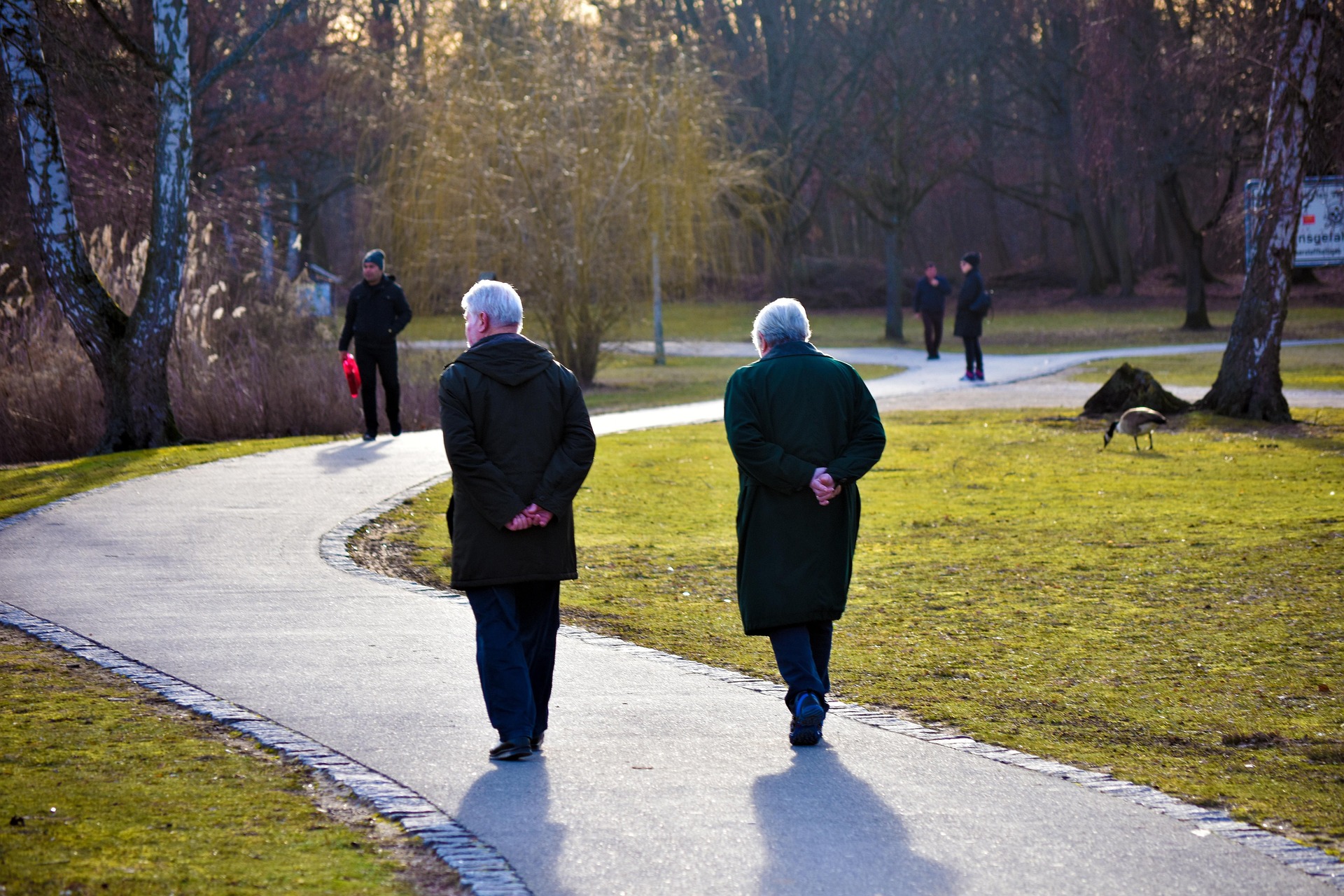 gesunder Rücken im Alter