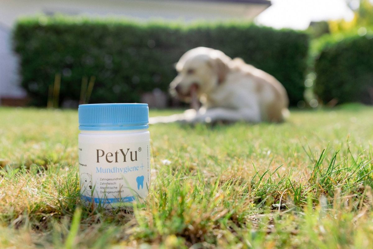 Für gesunde und saubere Zähne ohne Zahnbürste: PetYu Mundhygiene+ (© ©PetYu (bluefrog pharma GmbH))