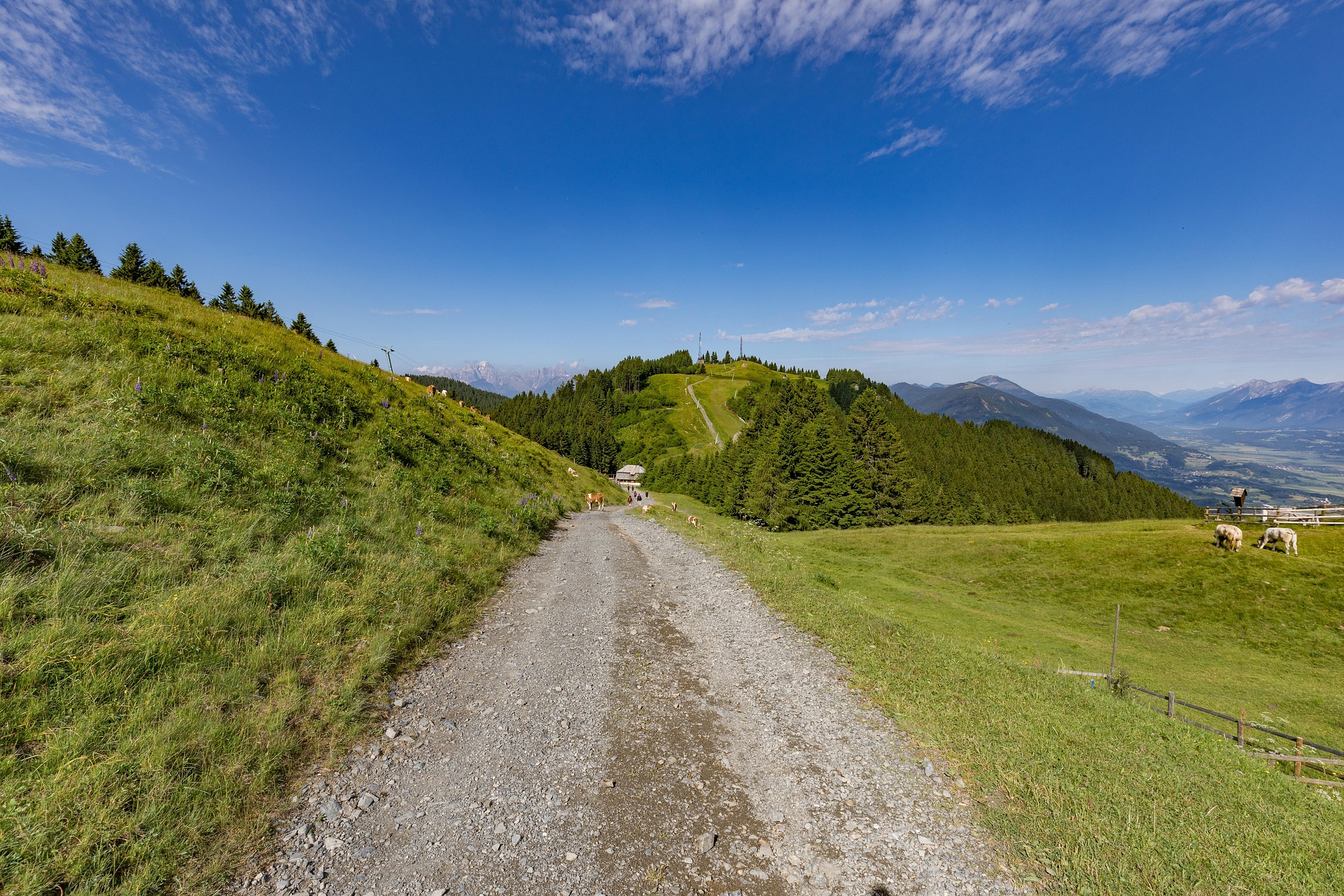 Urlaub im Breisgau und Dreiländereck