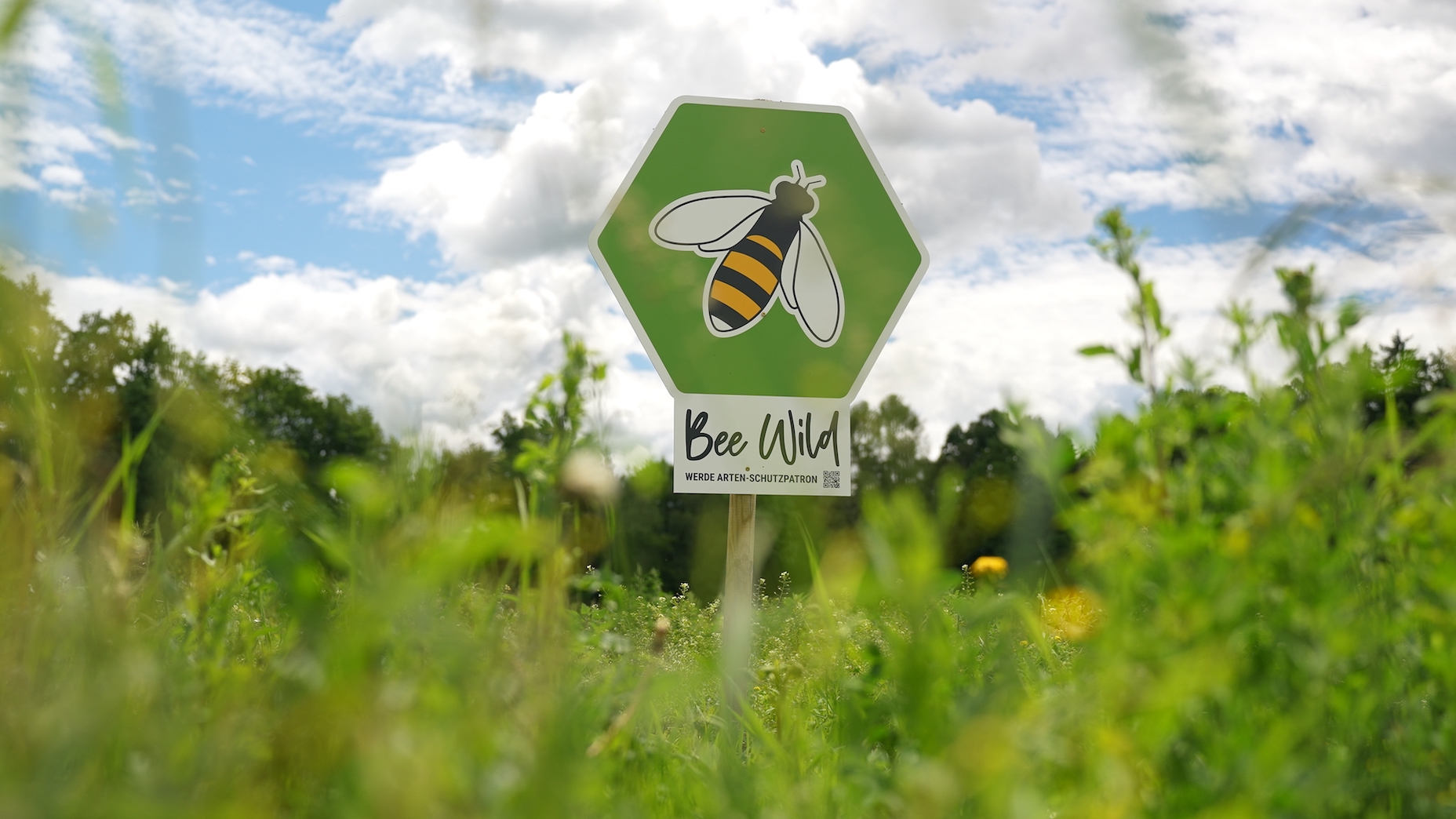 ARCOTEL Hotels x BeeWild (Die Bildrechte liegen bei dem Verfasser der Mitteilung.)