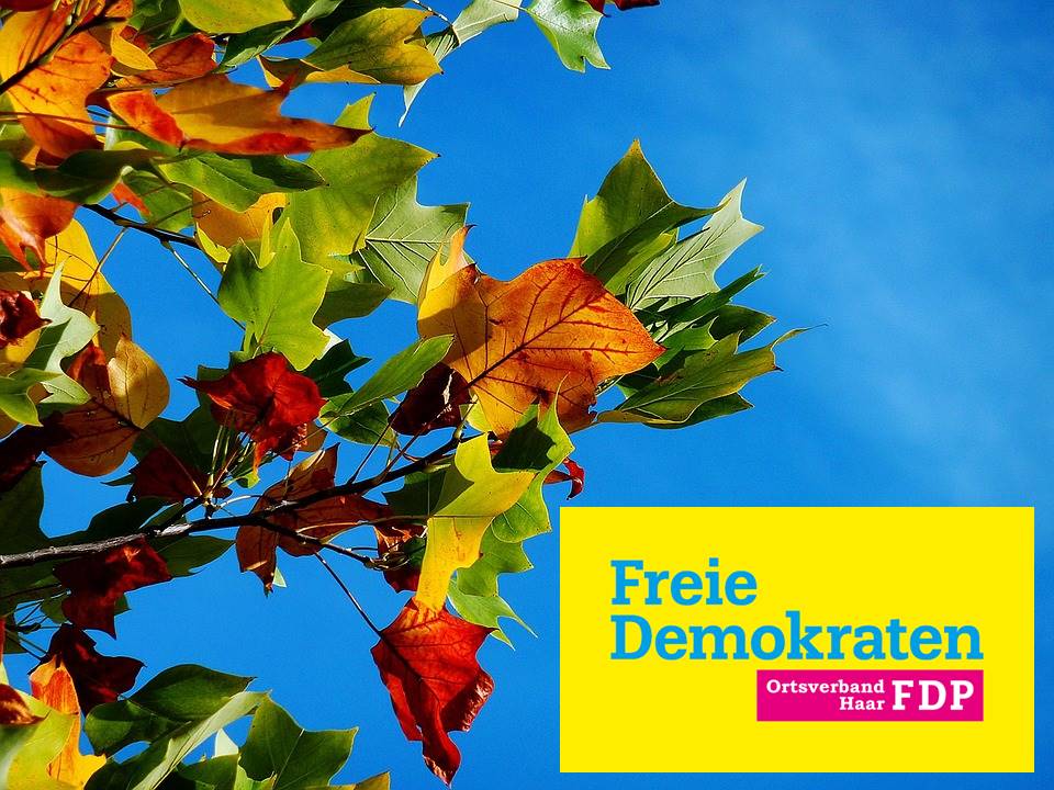 Abseits des Wiesn-Trubels lädt die FDP Haar auch in diesem Jahr zum Herbststammtisch. (F: Pixabay)