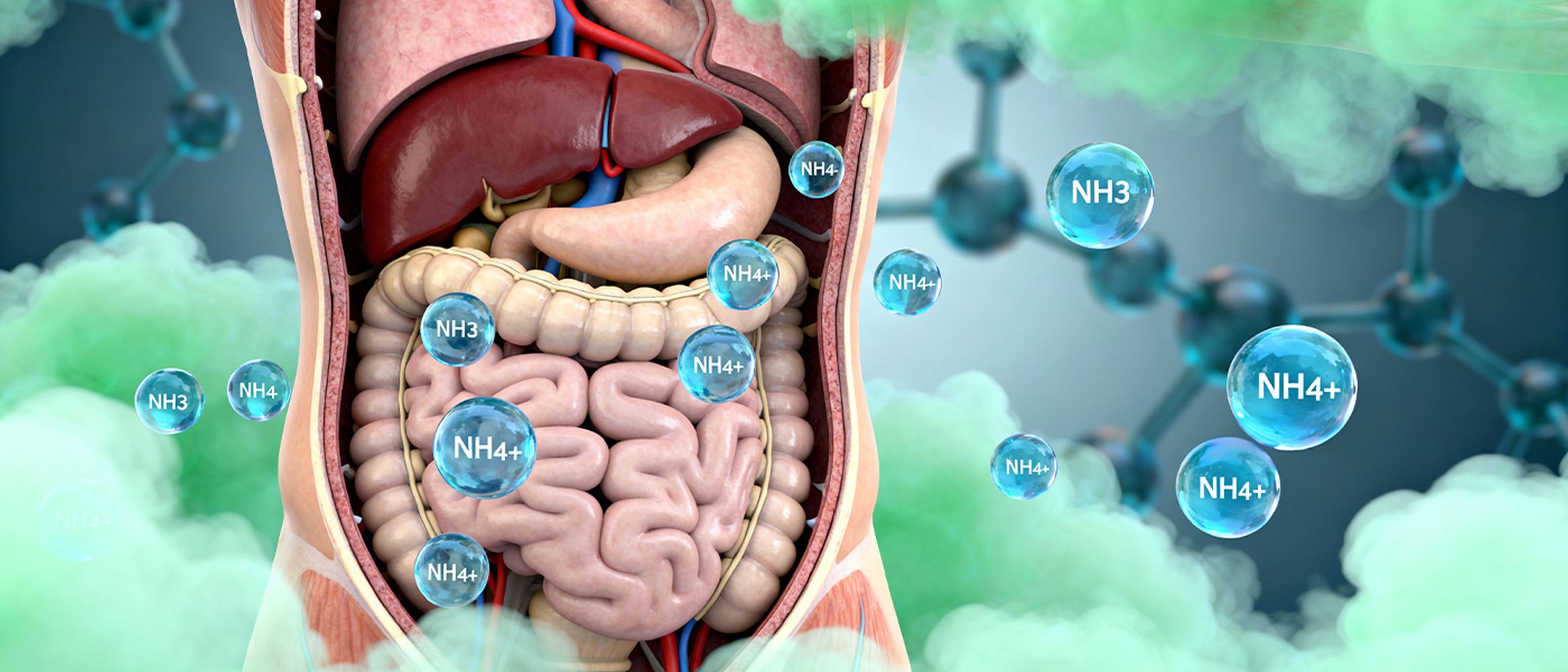 Zu hohe Ammonium-Werte können Mit-Ursache für Alzheimer, Depressionen und Diabetes sein