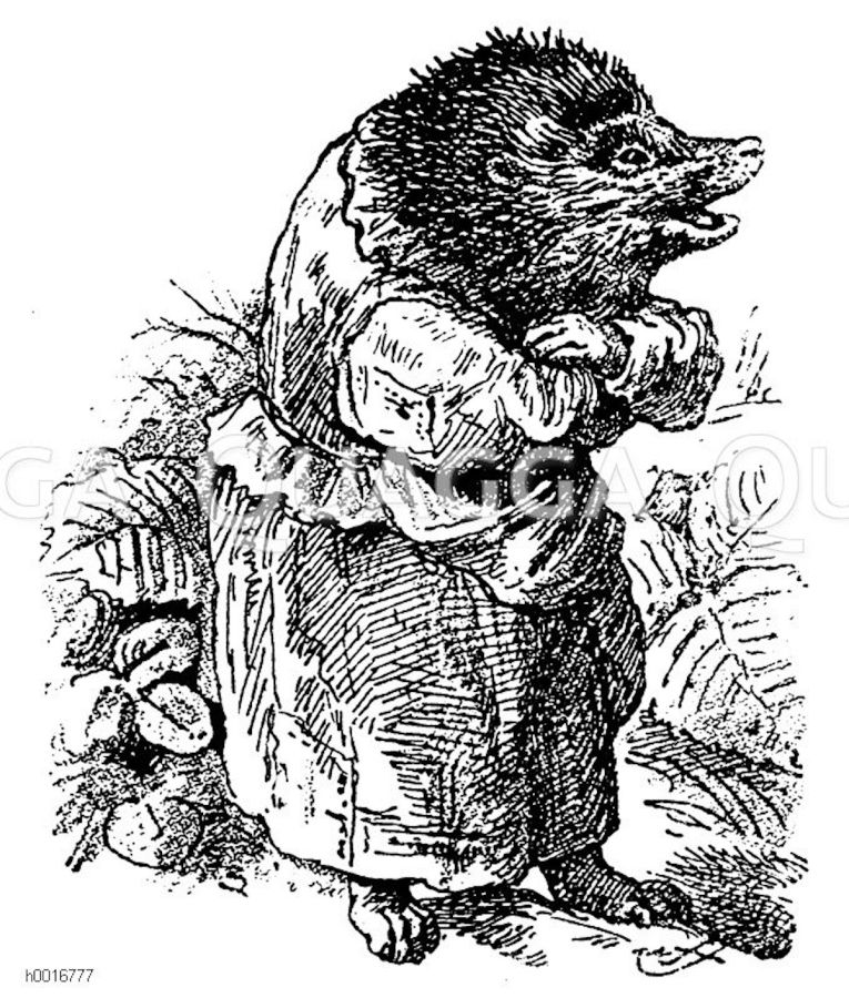 Igelfrau aus: Der Wettlauf zwischen Hase und Igel (© Quagga Illustrations)