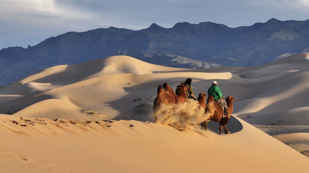 Kamele, zu sehen auf jeder Mongolei Selbstfahrerreise (Die Bildrechte liegen bei dem Verfasser der Mitteilung.) Kamele, zu sehen auf jeder Mongolei Selbstfahrerreise (Die Bildrechte liegen bei dem Verfasser der Mitteilung.)