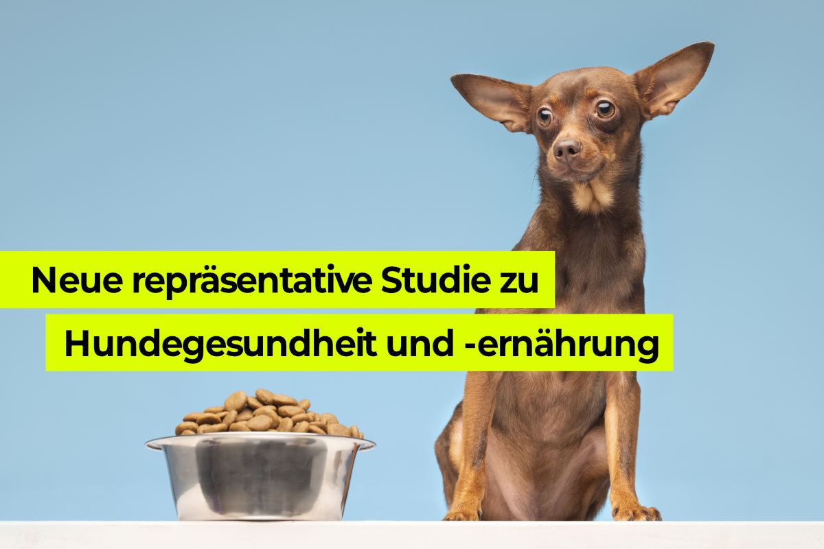 Repräsentative Haustierstudie