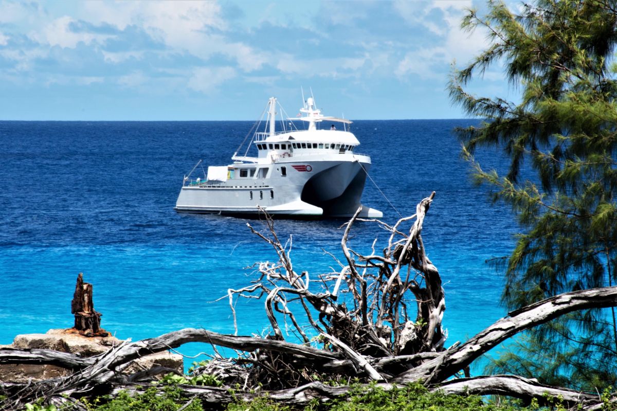 Kreuzfahrt: Expedition zum Aldabra Atoll (© Foto: Silhueta Cruises) Kreuzfahrt: Expedition zum Aldabra Atoll (© Foto: Silhueta Cruises)