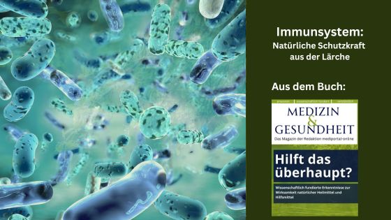 Immunsystem: Natürliche Schutzkraft aus der Lärche (Die Bildrechte liegen bei dem Verfasser der Mitteilung.) Immunsystem: Natürliche Schutzkraft aus der Lärche (Die Bildrechte liegen bei dem Verfasser der Mitteilung.)