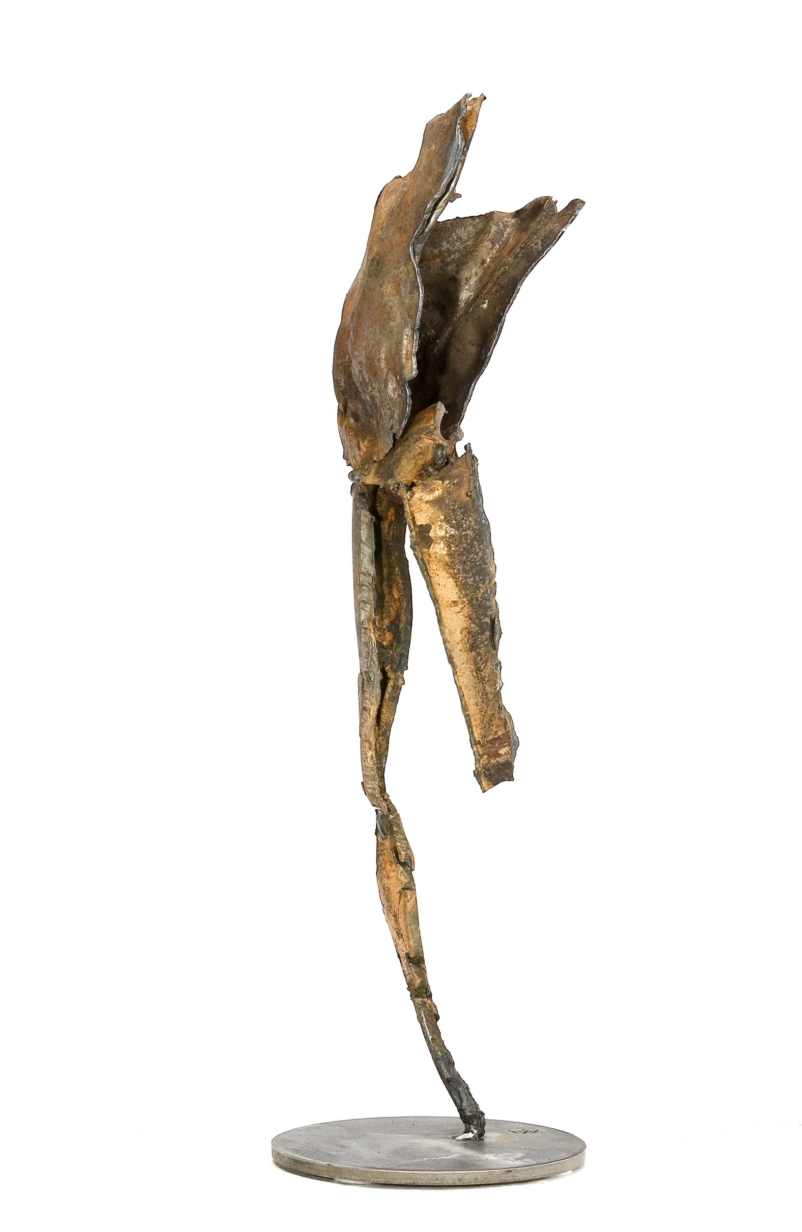 Pygmalion - 43 cm (Die Bildrechte liegen bei dem Verfasser der Mitteilung.) Pygmalion - 43 cm (Die Bildrechte liegen bei dem Verfasser der Mitteilung.)