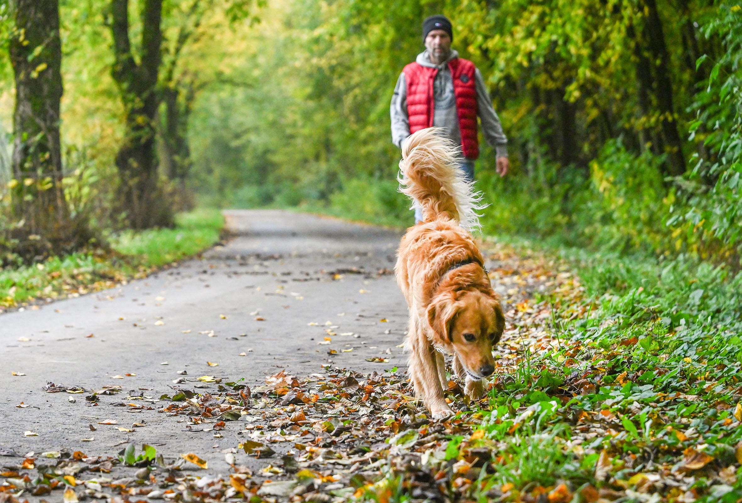 Nasses Herbstlaub kann Bürgersteige schnell in rutschige Flächen verwandeln. Foto: HUK-COBURG (Die Bildrechte liegen bei dem Verfasser der Mitteilung.)