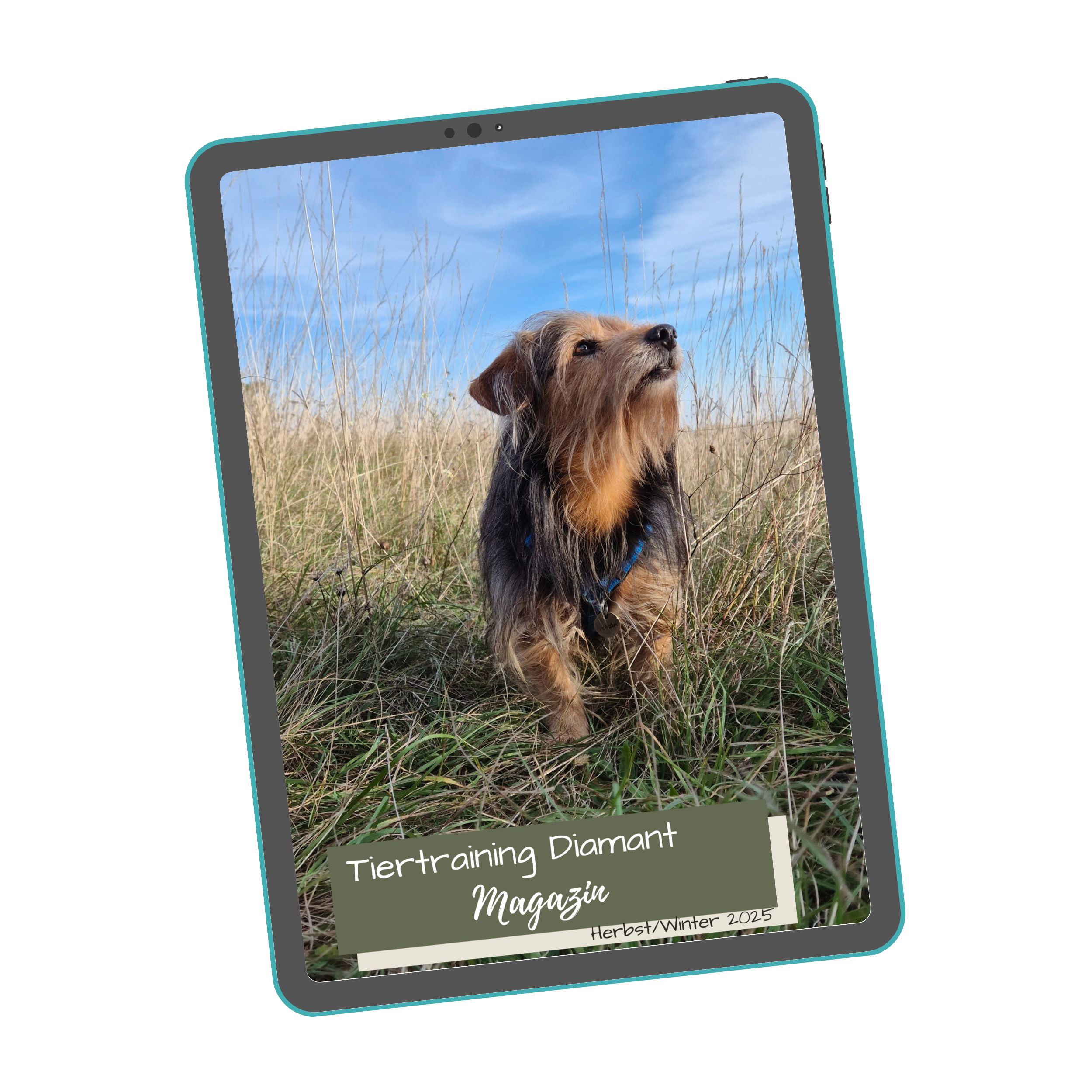 © Tiertraining Diamant 