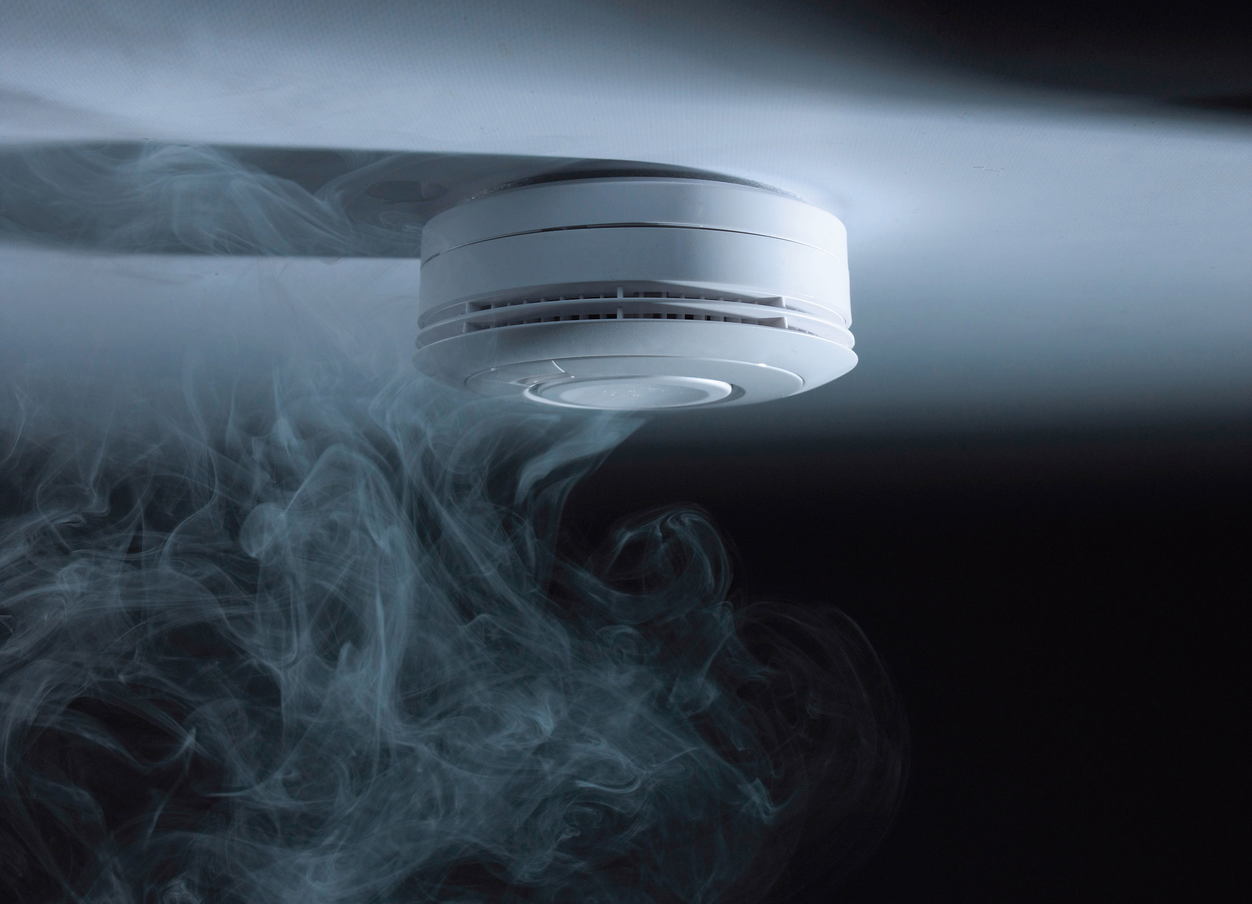 (Die Bildrechte liegen bei dem Verfasser der Mitteilung.)